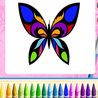 Butterfly Colorful Llife